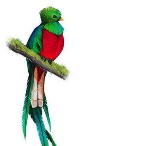 Meet your Posher, Joshua